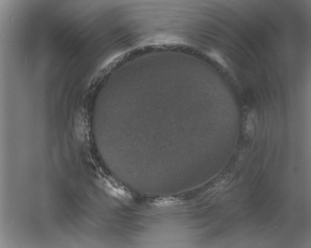 X0000060791112200511101411