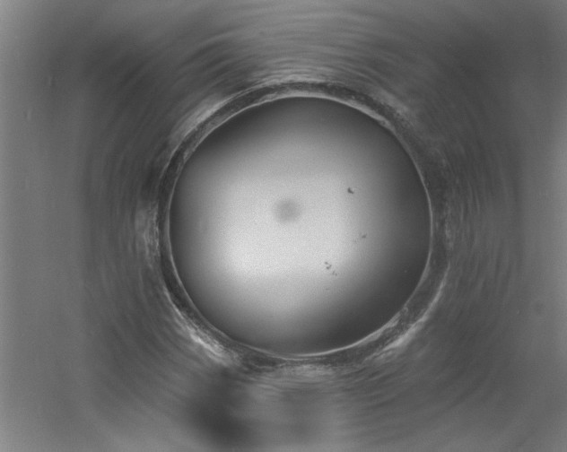 X0000060791113200511101411