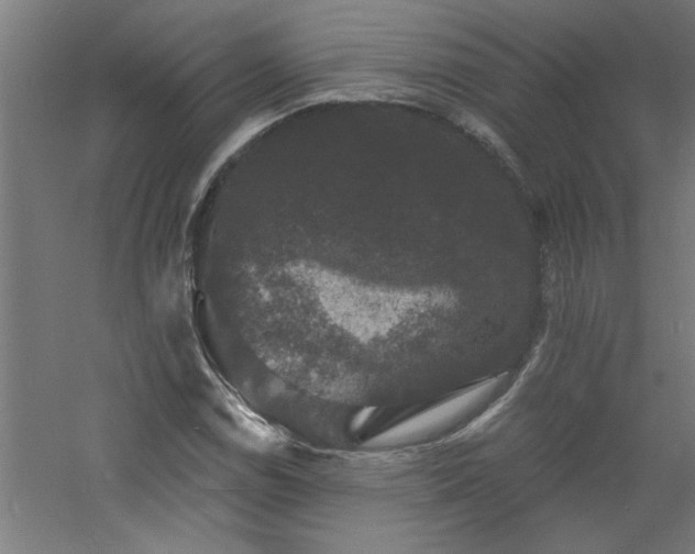 X0000060791114200511101411