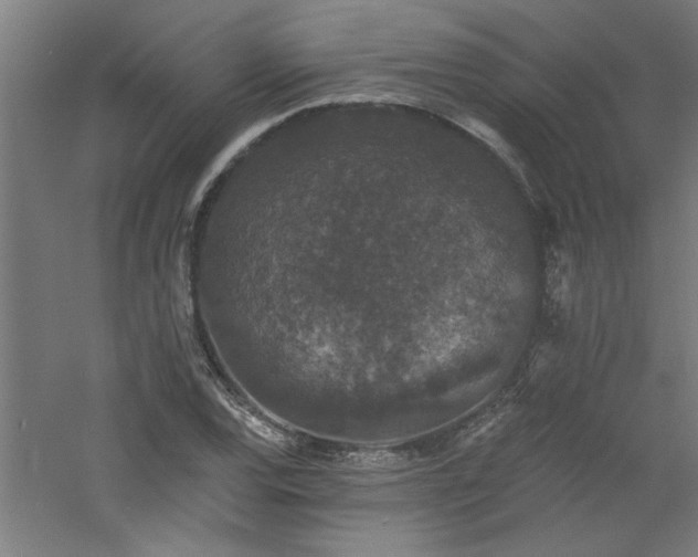 X0000060791120200511101411