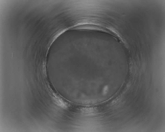 X0000060791121200511101411