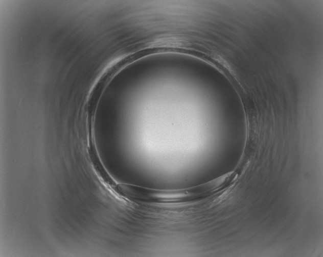 X0000060791123200511101411