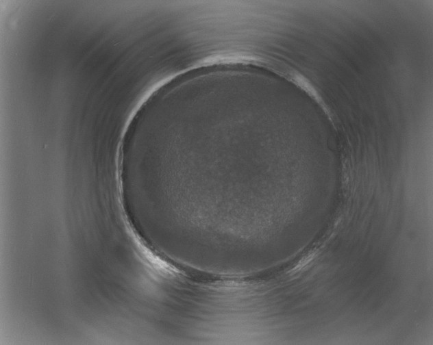 X0000060791124200511101411