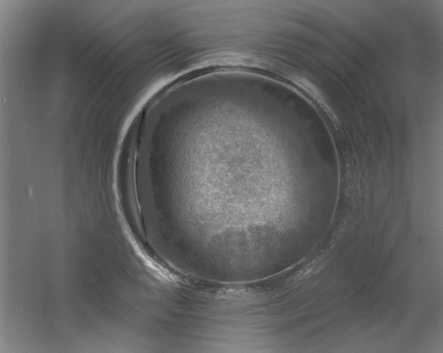 X0000060791128200511101411