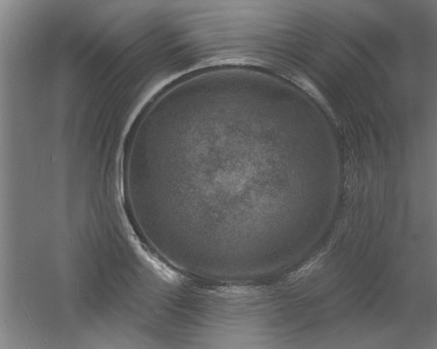 X0000060791132200511101411