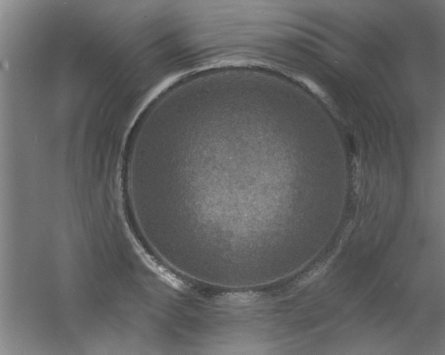 X0000060791134200511101411