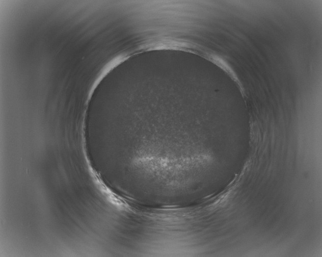 X0000060791138200511101411