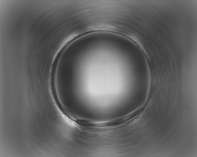 X0000060791139200511101412