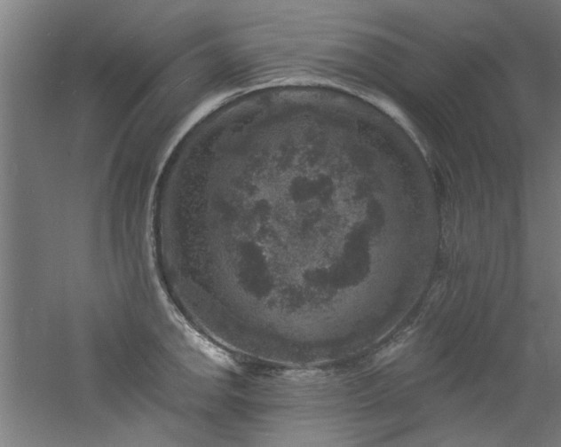 X0000060791142200511101412