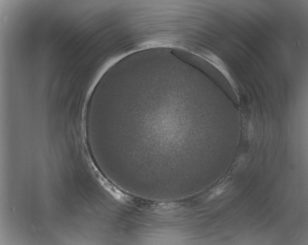 X0000060791148200511101412