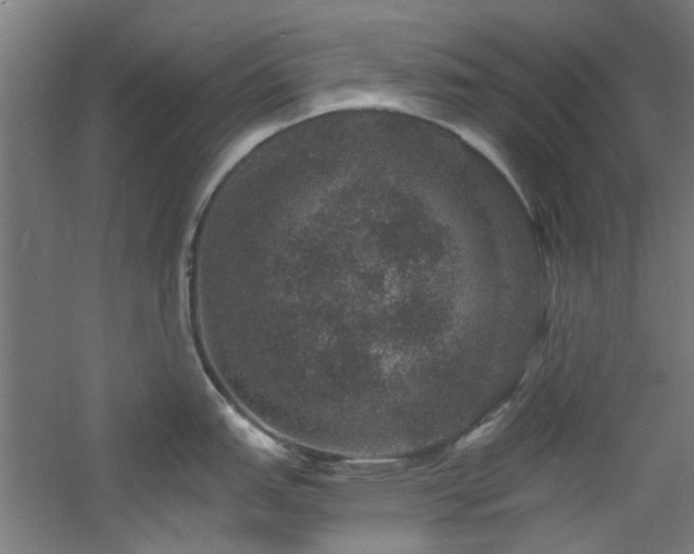 X0000060791151200511101412