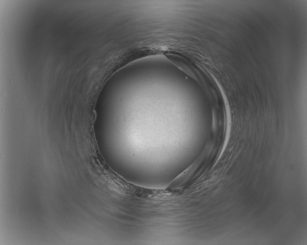 X0000060791153200511101411