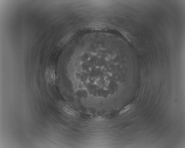 X0000060791155200511101411