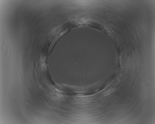 X0000060791156200511101411