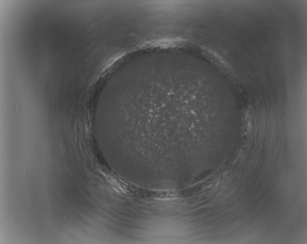 X0000060791158200511101411