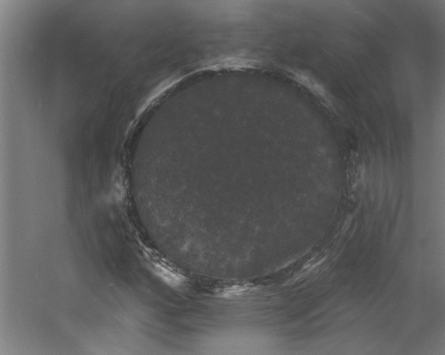 X0000060791160200511101411