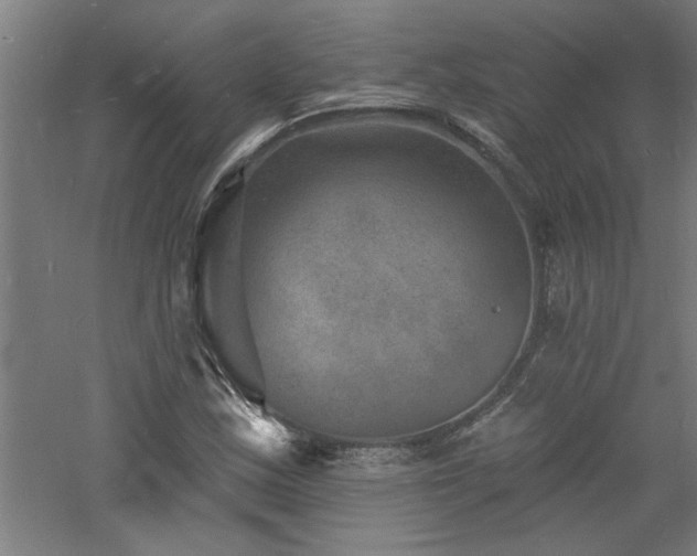 X0000060791163200511101411