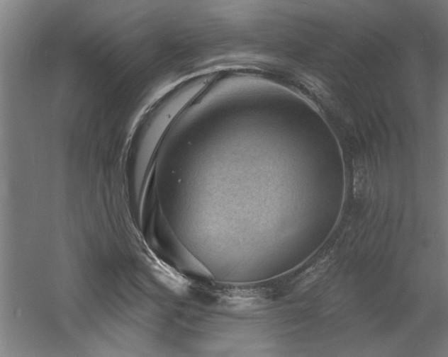 X0000060791164200511101411