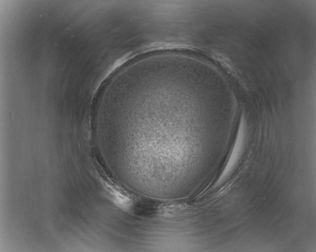 X0000060791165200511101411