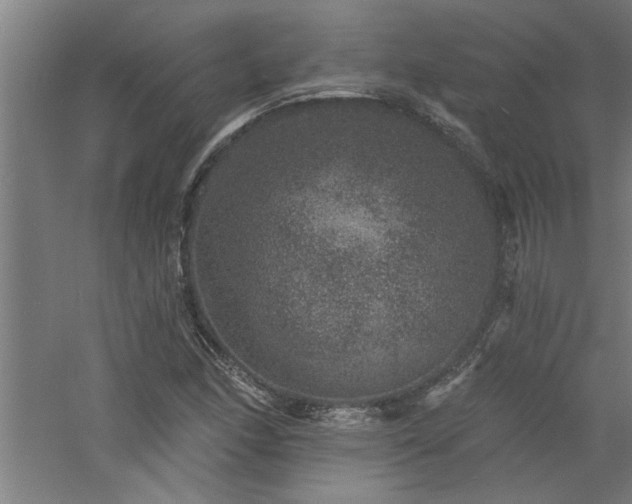 X0000060791166200511101411