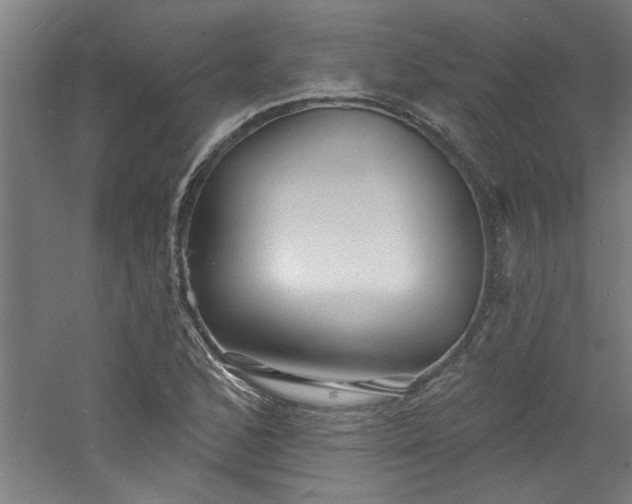 X0000060791168200511101411