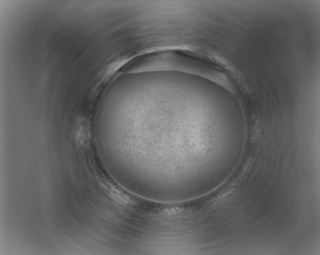 X0000060791169200511101411