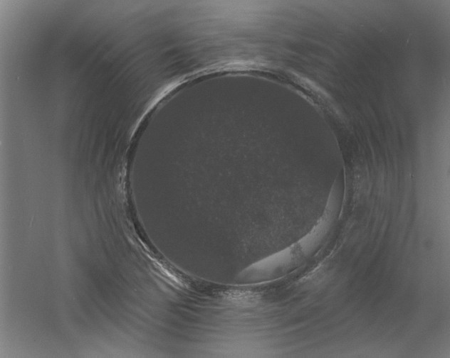 X0000060791170200511101411