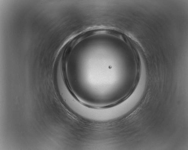 X0000060791173200511101411