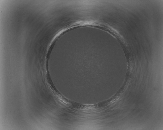 X0000060791174200511101411