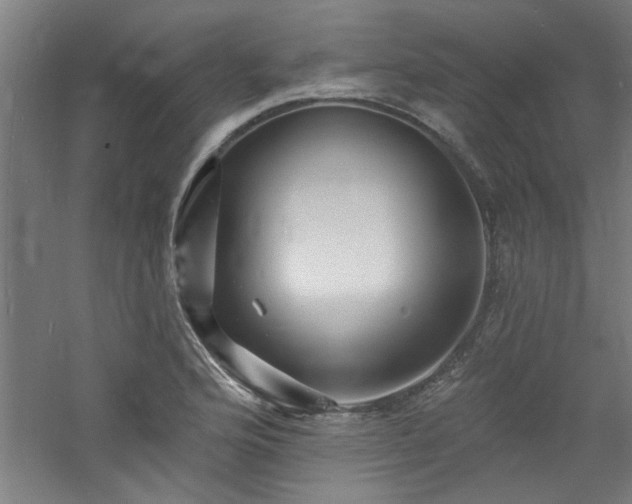 X0000060791176200511101411