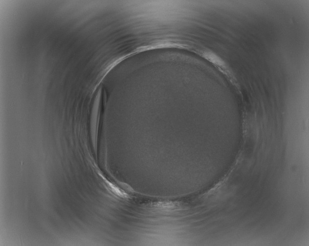 X0000060791177200511101410