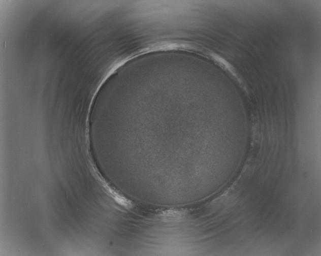 X0000060791178200511101410