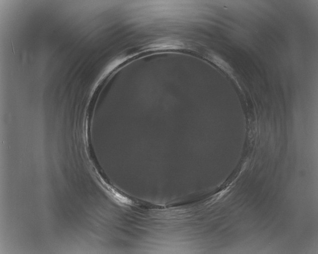 X0000060791179200511101410