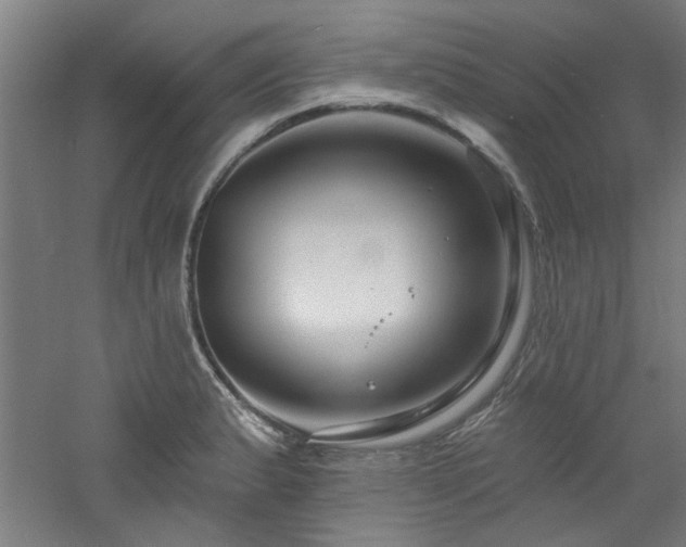 X0000060791183200511101410