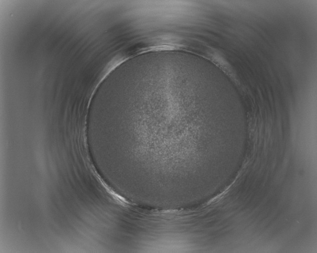 X0000060791186200511101410