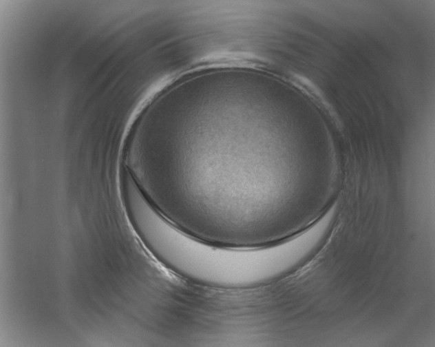 X0000060791188200511101410