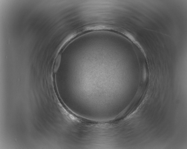 X0000060791189200511101410