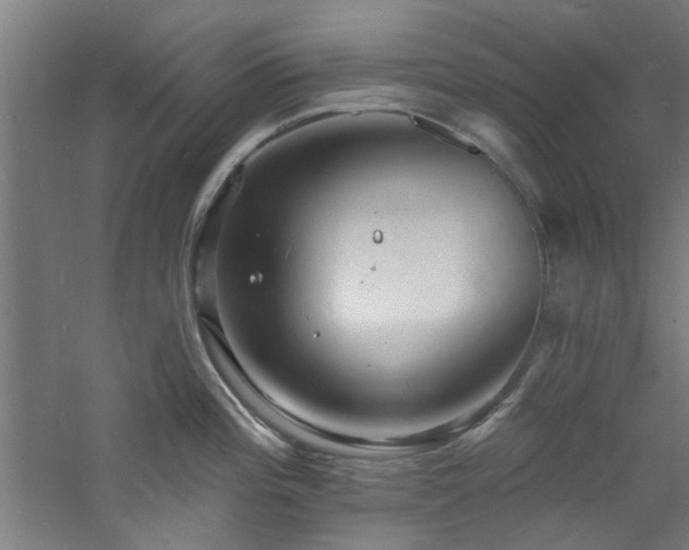 X0000060791196200511101410