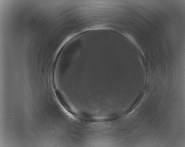 X0000060791197200511101410