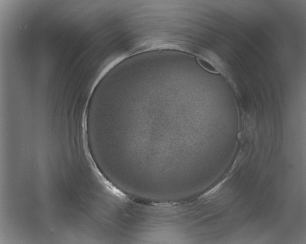 X0000060791198200511101410