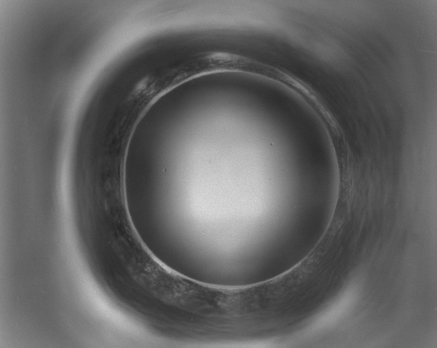 X0000060791199200511101410