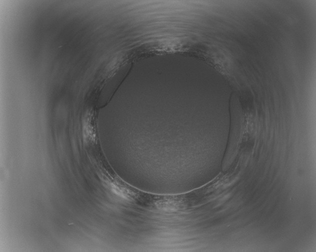 X0000060791202200511101409