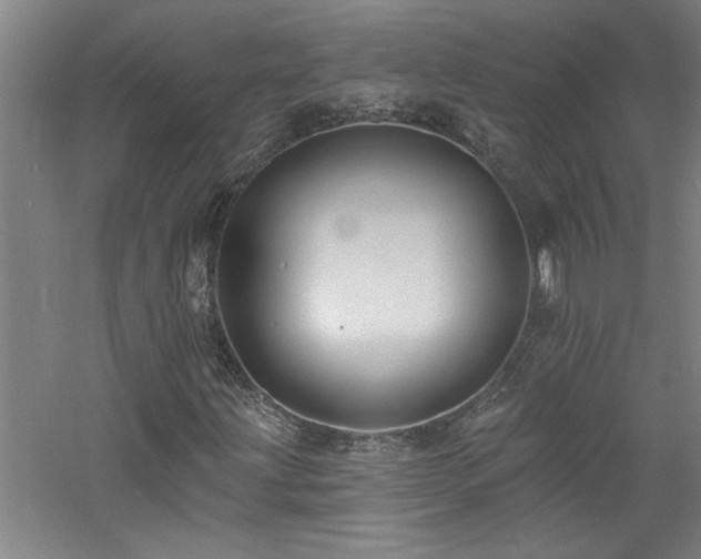 X0000060791203200511101409