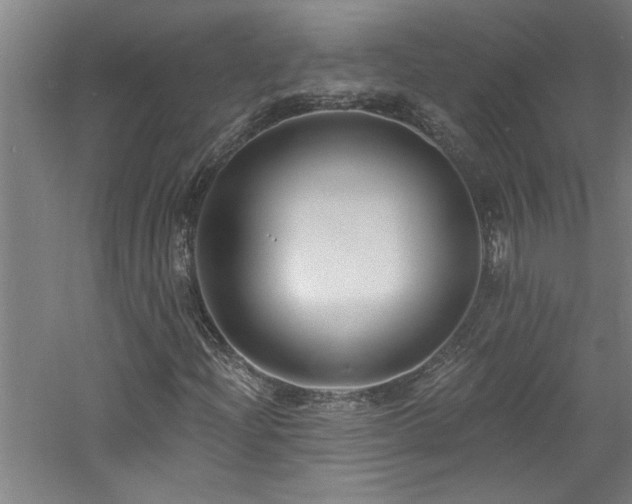 X0000060791204200511101409