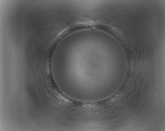 X0000060791205200511101409