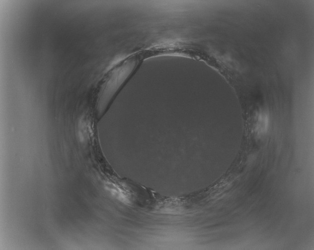 X0000060791206200511101409