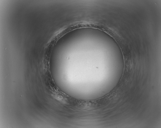 X0000060791207200511101409