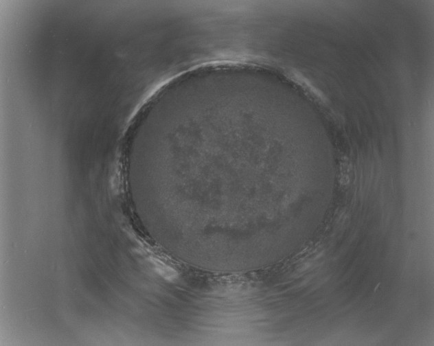 X0000060791208200511101409