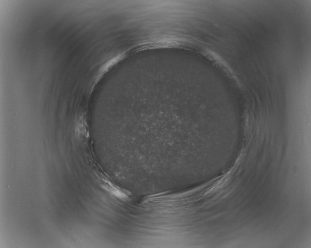 X0000060791210200511101409