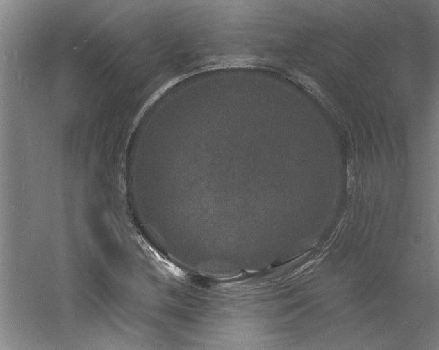 X0000060791212200511101409